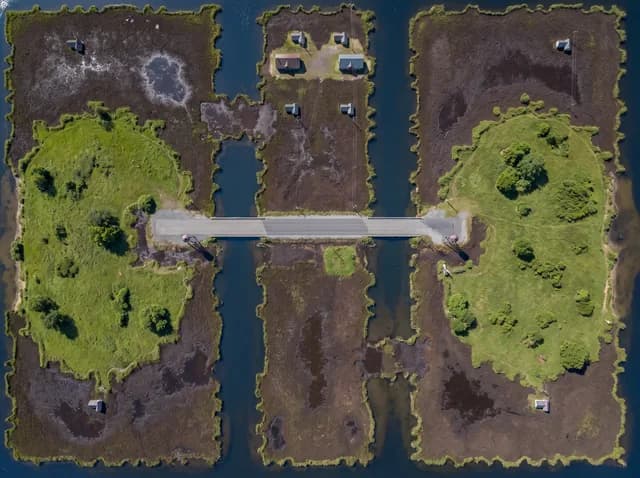 Black Marsh